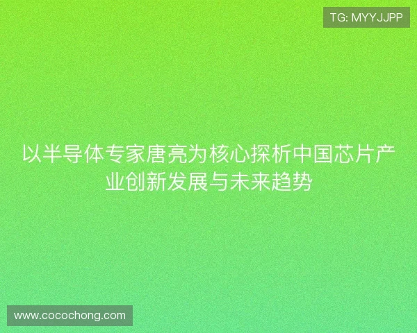 以半导体专家唐亮为核心探析中国芯片产业创新发展与未来趋势